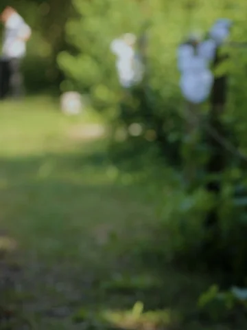 Brautpaar in offener Landschaft im warmen Sonnenlicht